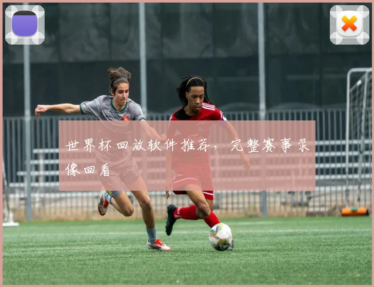 世界杯回放软件推荐，完整赛事录像回看